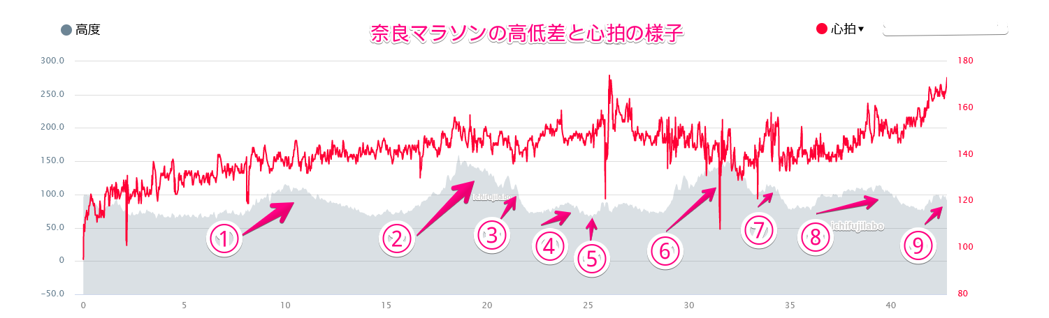 奈良マラソンのコースの高低差と心配による難易度